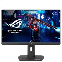 ASUS LCD 25" XG259QNS eSports Gaming Monitor FHD 1920 x 1080 IPS 400cd 1ms 380Hz HDMI DP USB-A 5,5kg