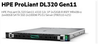 HPE PL DL320g11 4510 (2.4/12C) 2x32G (p64706) 2x480G (P40497) MR408i-o 8SFF 2x1000W 2x1Gb Smart Choice