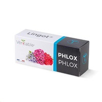 Véritable Lingot Flox