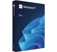 Windows Pro 11 64-bit Eng USB