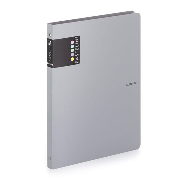 4kroužkový pořadač Pastelini - A4, 2 cm, šedý