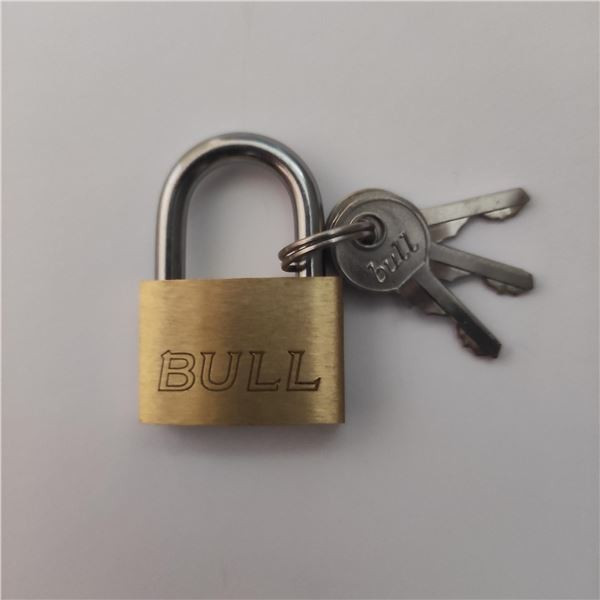 Visací zámek 9230 E Ms BULL - zl.mosaz