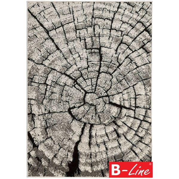 Kusový koberec Wood - 300 x 200 cm, hnědý vícebare