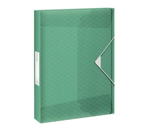 Esselte box na spisy Colour'Ice, zelený