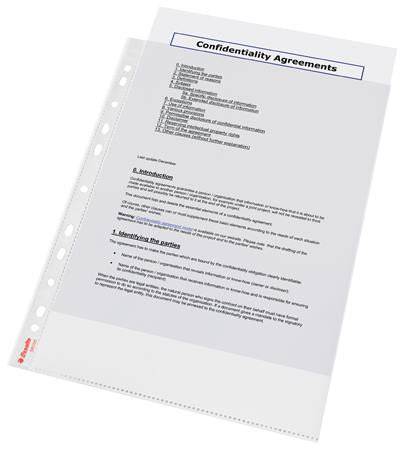 LEITZ Plastové kapsy Esselte Standard A4, GC, 55 mic, box 100 ks