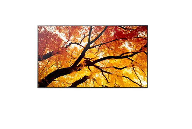 Sharp 75"  MultiSync M752- 24/7, 550 cd, IPS LED, 3840x2160, 16:9, 8ms, 8000:1,  DP, 2x HDMI, USB