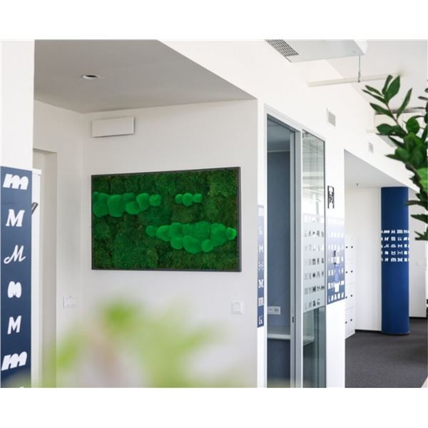 Mechový obraz 150 x 100 cm - dřevěný rám