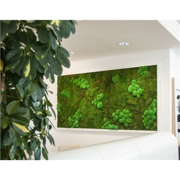 Mechový obraz 200 x 120 cm - dřevěný rám