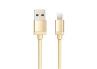WG - Datový kabel Lightning MFI na USB-A, 1 metr, zlatá