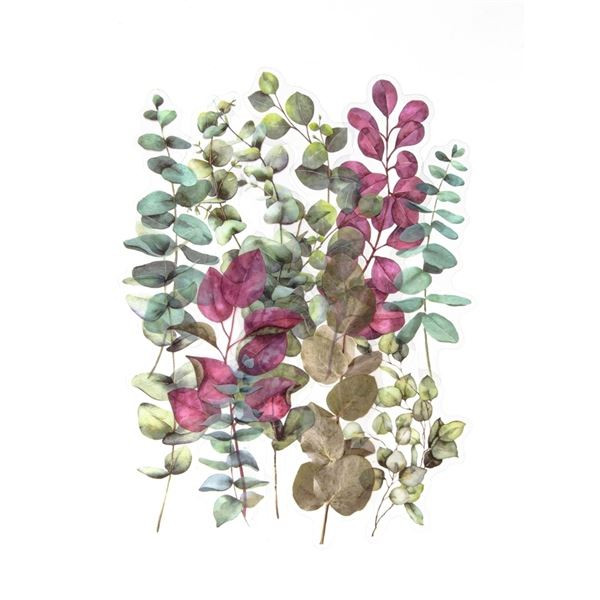 Dekorativní samolepky fóliové - dřišťál, 12 ks