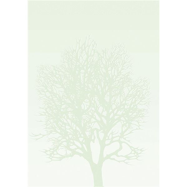 Diplom A4 - motiv stromu, 100 g/m2, 50 ks