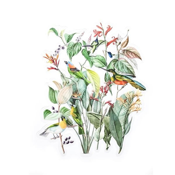 Dekorativní samolepky - exotická zahrada, 12 ks