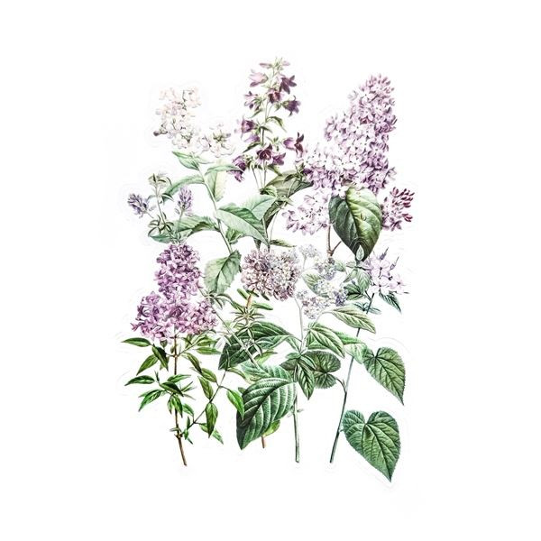 Dekorativní samolepky - šeříkové květy, 12 ks