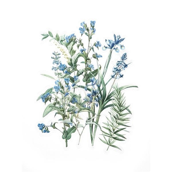 Dekorativní samolepky - kosatce v zahradě, 12 ks