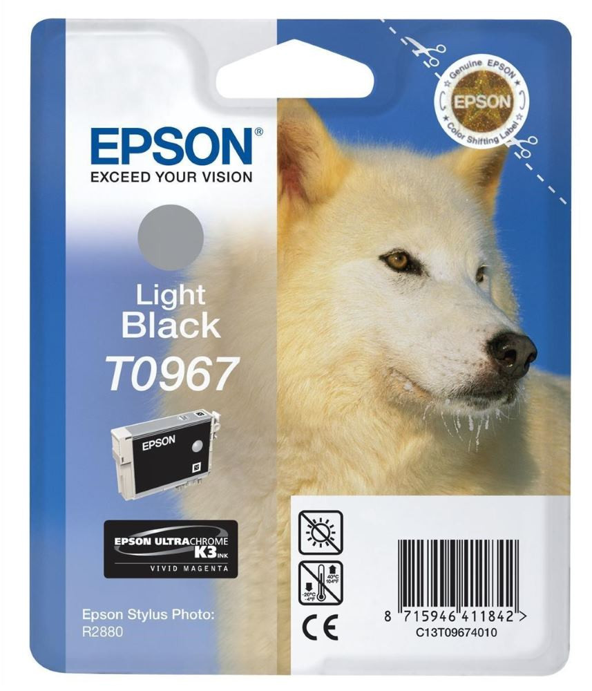 Epson inkoustová náplň/ C13T09674010/ Stylus 2880/ Světlá Černá
