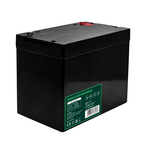 Greencell AGM VRLA 12V 80Ah maintenance-free baterie pro UPS, (260x168x216mm)