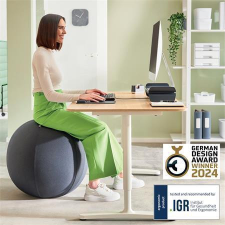 Gymnastický míč na sezení "Ergo Cosy", tmavě šedá, 75 cm, s těžítkem proti odkutálení, LEITZ 6543008