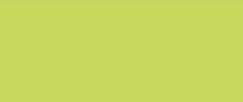 Akrylová barva "SOLO GOYA", Light Green, 100 ml v tubě, KREUL