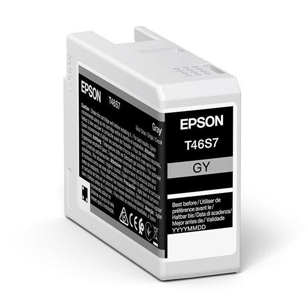 Epson originální ink C13T46S700, gray