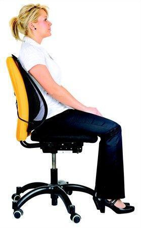 Opěrka zad, FELLOWES "Professional Series Mesh"