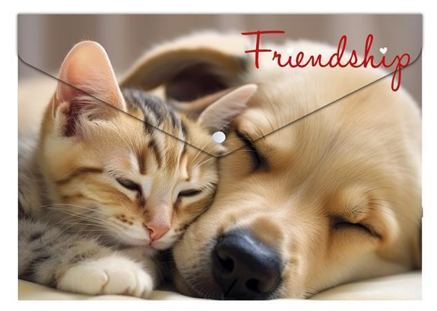 Spisové desky s drukem "Friendshop", A5, PP, 180 micron, PANTA PLAST