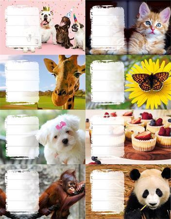 Školní etikety "Dívky", 24 ks, PANTA PLAST