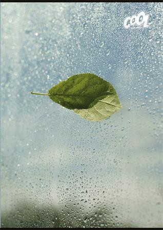 Sešit "Green Calm", mix motivů, A4, čistý, 80 listů, COOL BY VICTORIA