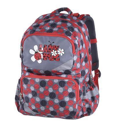 Batoh "Lady Bug", šedá, 22 litrů, anatomický, PULSE
