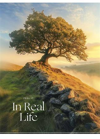 Sešit "In real life", mix motivů, A5, čtverečkovaný, 48 listů, SHKOLYARYK A5-048-5250K