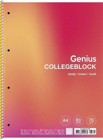 Spirálový sešit "Genius", mix motivů, čtverečkovaný, A4+, 80 listů, SHKOLYARYK A4-080-6715K