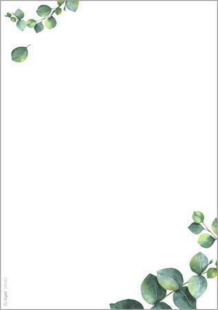 Papír s motivem "Eucalyptus", A5, 90 g, oboustranný, SIGEL DP682