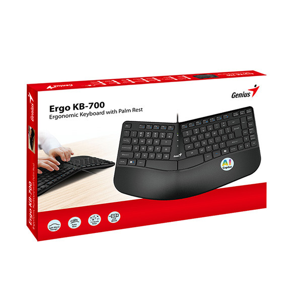 Genius Ergo KB-700 Copilot klávesnice drátová (USB) CZ/SK, černá