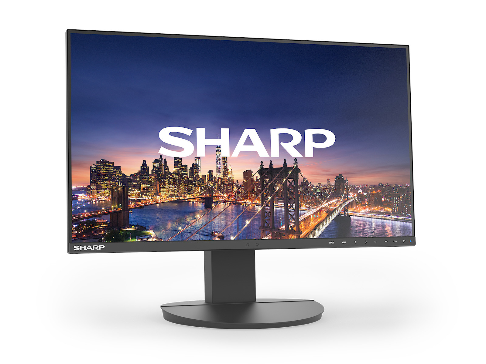 NEC Sharp MultiSync/EA242F/24"/IPS/FHD/60Hz/5ms/Černá/3R