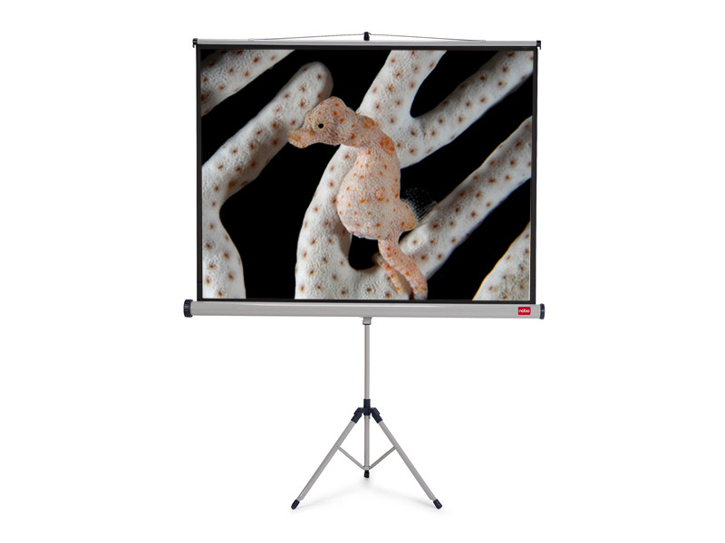 NOBO Tripod plátno š175 x v132 -matný bílý,4:3