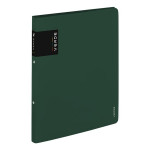 2kroužkový pořadač Verde - A4, 2 cm, zelený