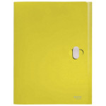 Box na spisy Leitz RECYCLE-A4,eko.,žl.,3,8 cm,1ks