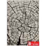 Kusový koberec Wood - 300 x 200 cm, hnědý vícebare