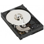 DELL HDD 1TB 7.2K SATA 6Gbps 3.5´´ Cabled Hard Drive