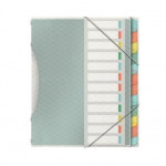 Esselte třídící desky Colour'Ice, 12 listů, mix barev