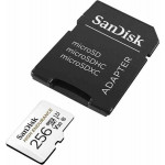 SanDisk High Endurance microSDHC 256GB + adaptér 
