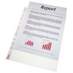 LEITZ Plastové kapsy Esselte Standard A4, GC, 75 mic, box 100 ks