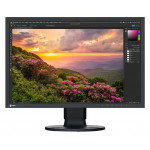 EIZO 24,1" CS2400S, 1920 x 1200, IPS (WG),16:10, 410 cd/m2, 1350:1, DP/HDMI/USB-C, černý