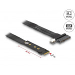 Delock Adaptér M.2 klíč M na U.2 SFF-8639 NVMe, s kabelem délky 20 cm