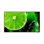 NEC 32" MultiSync E328-2  IPS direct LED/1920x1080/1100:1/9ms/400 cd/m2/VGA/3xHDMI/16/7 proof/Media Player/černý