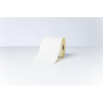 Brother - BDE-1J152102-102 (102mm x 152mm, 350 štítků) pouze pro řadu TD, 8 rolí v balení