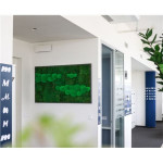 Mechový obraz 150 x 100 cm - dřevěný rám