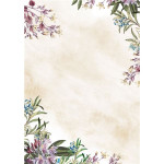 Diplom A4 - motiv Umbria, 100 g/m2, 50 ks