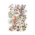 Dekorativní samolepky fóliové - poklady lesa, 40ks