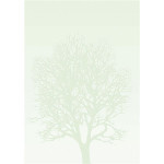 Diplom A4 - motiv stromu, 100 g/m2, 50 ks