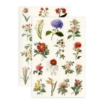 Dekorat.samolepky - letní květiny, 4 archy, 76 ks